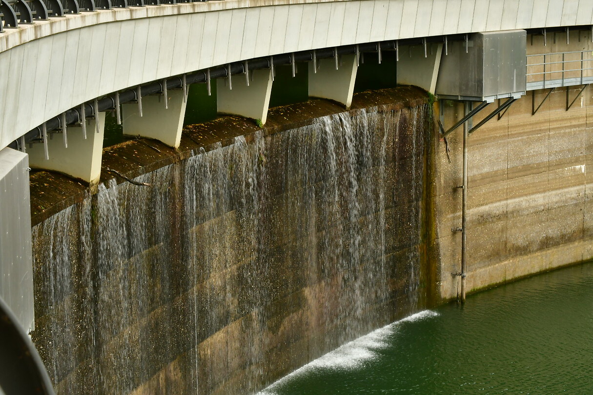 DSC_0941