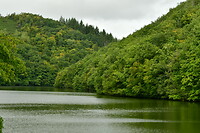 DSC_0938