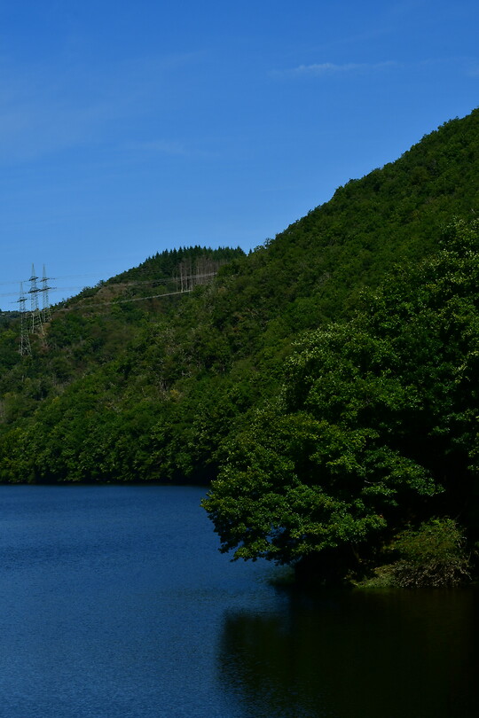 DSC_0966