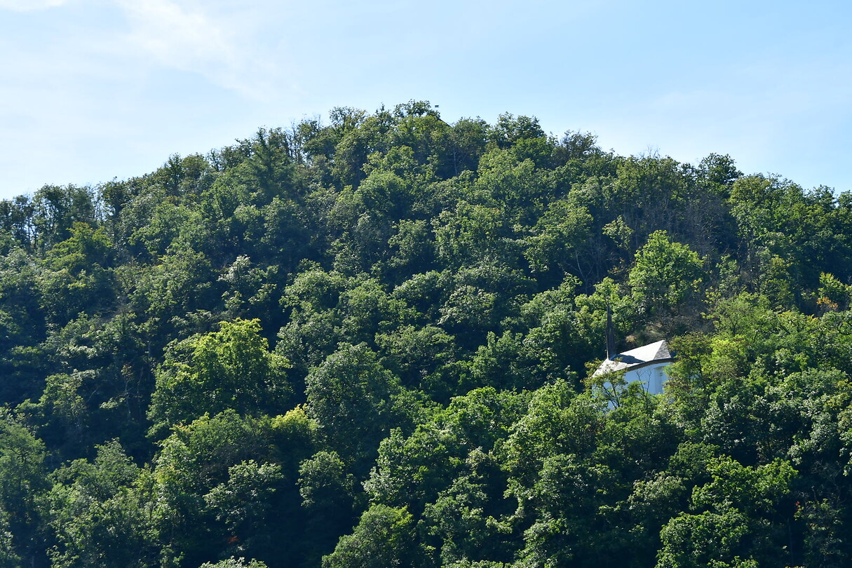 DSC_0976