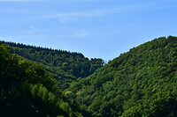 DSC_0971