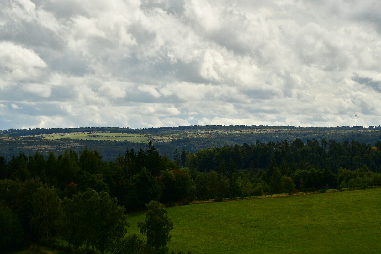 DSC_0986