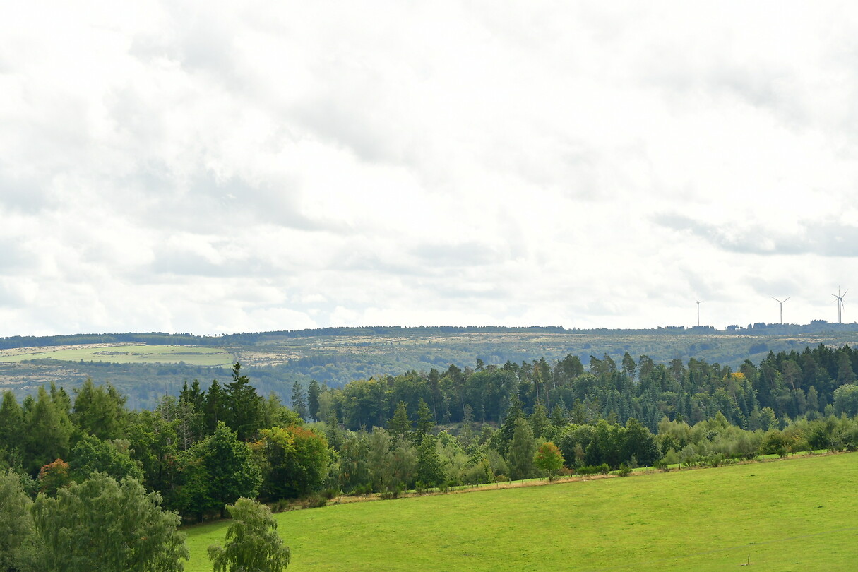 DSC_0988