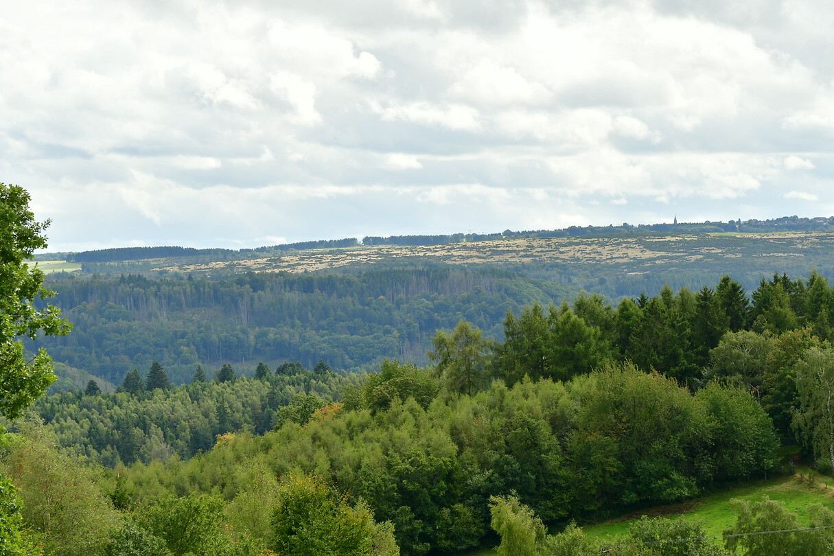 DSC_0990