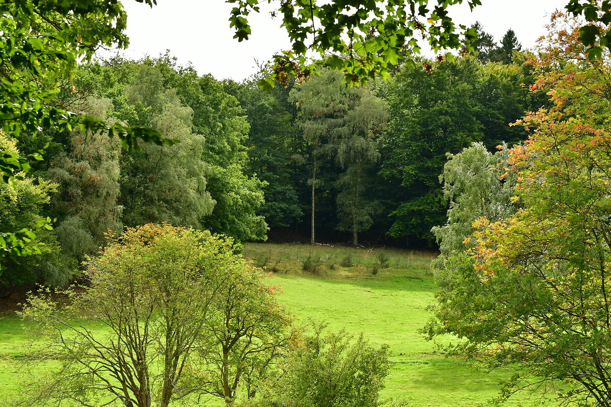 DSC_1001