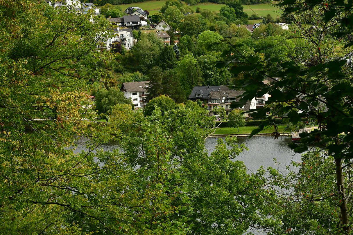 DSC_1002