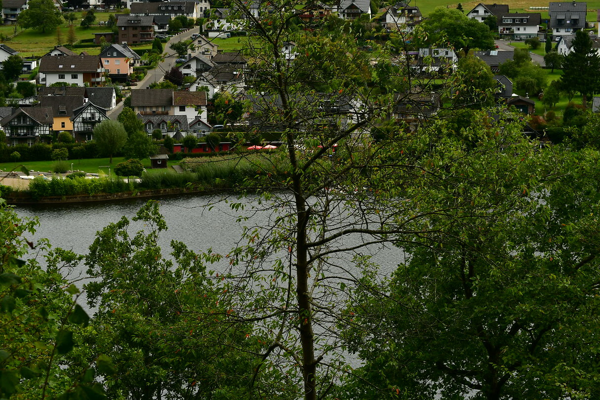 DSC_1004