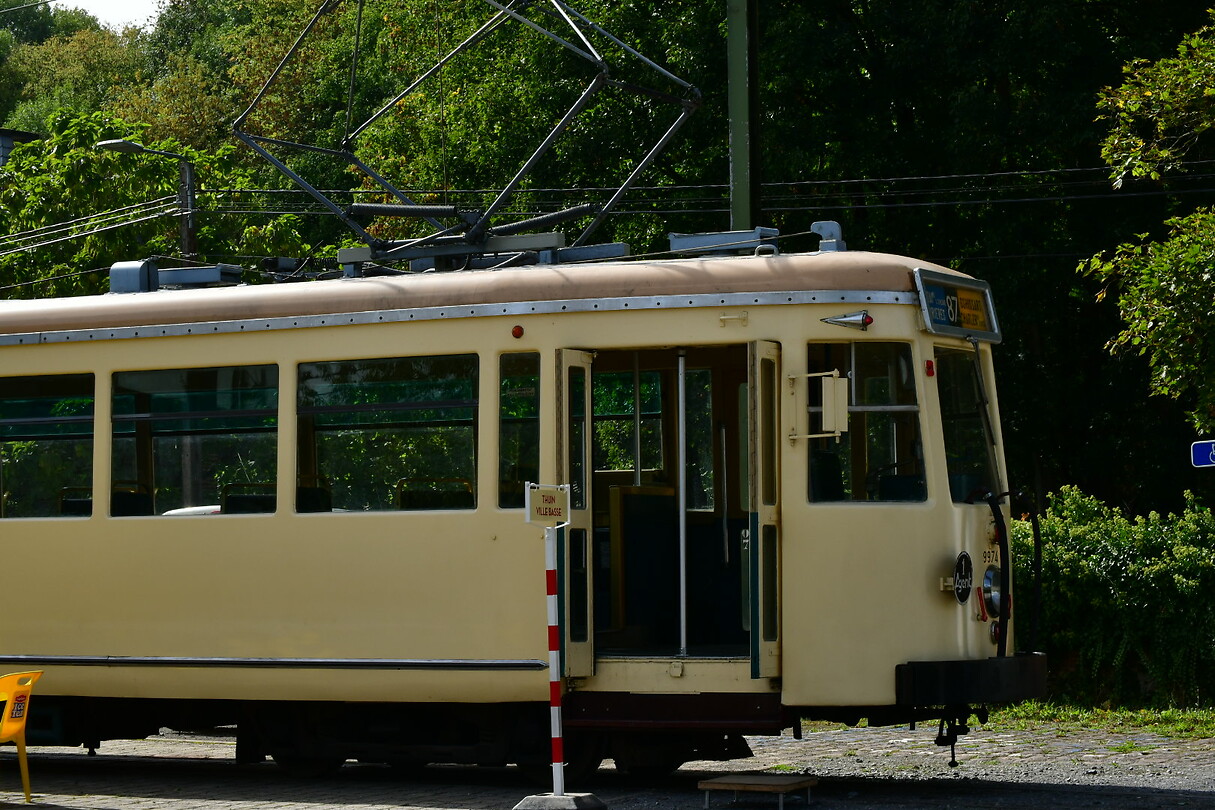 DSC_1016