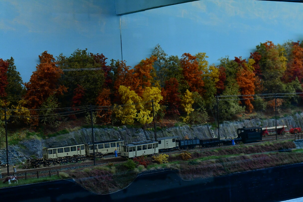 DSC_1036