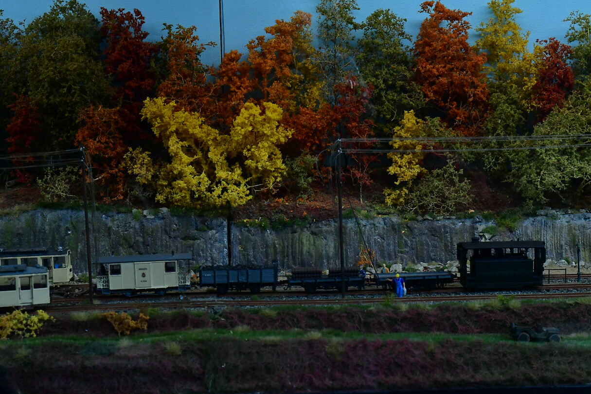DSC_1037