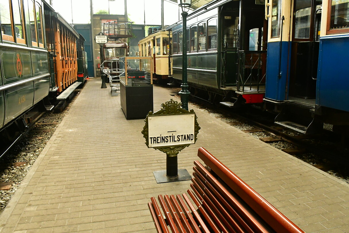 DSC_1067