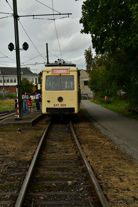 DSC_1106
