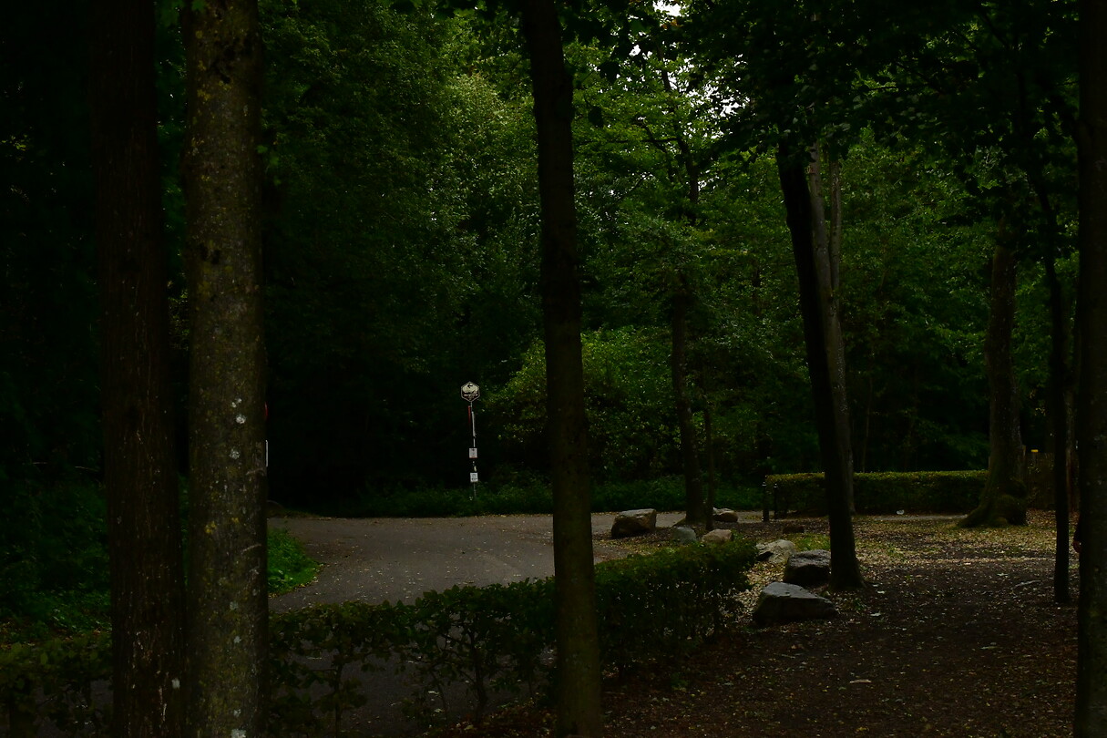 DSC_1113
