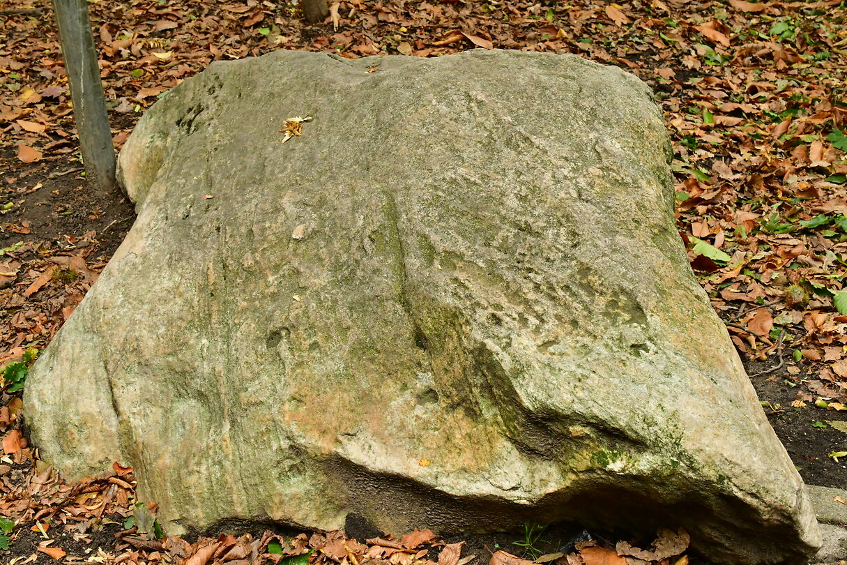 DSC_1121