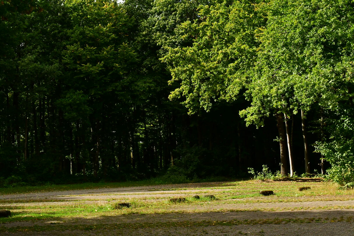 DSC_1125