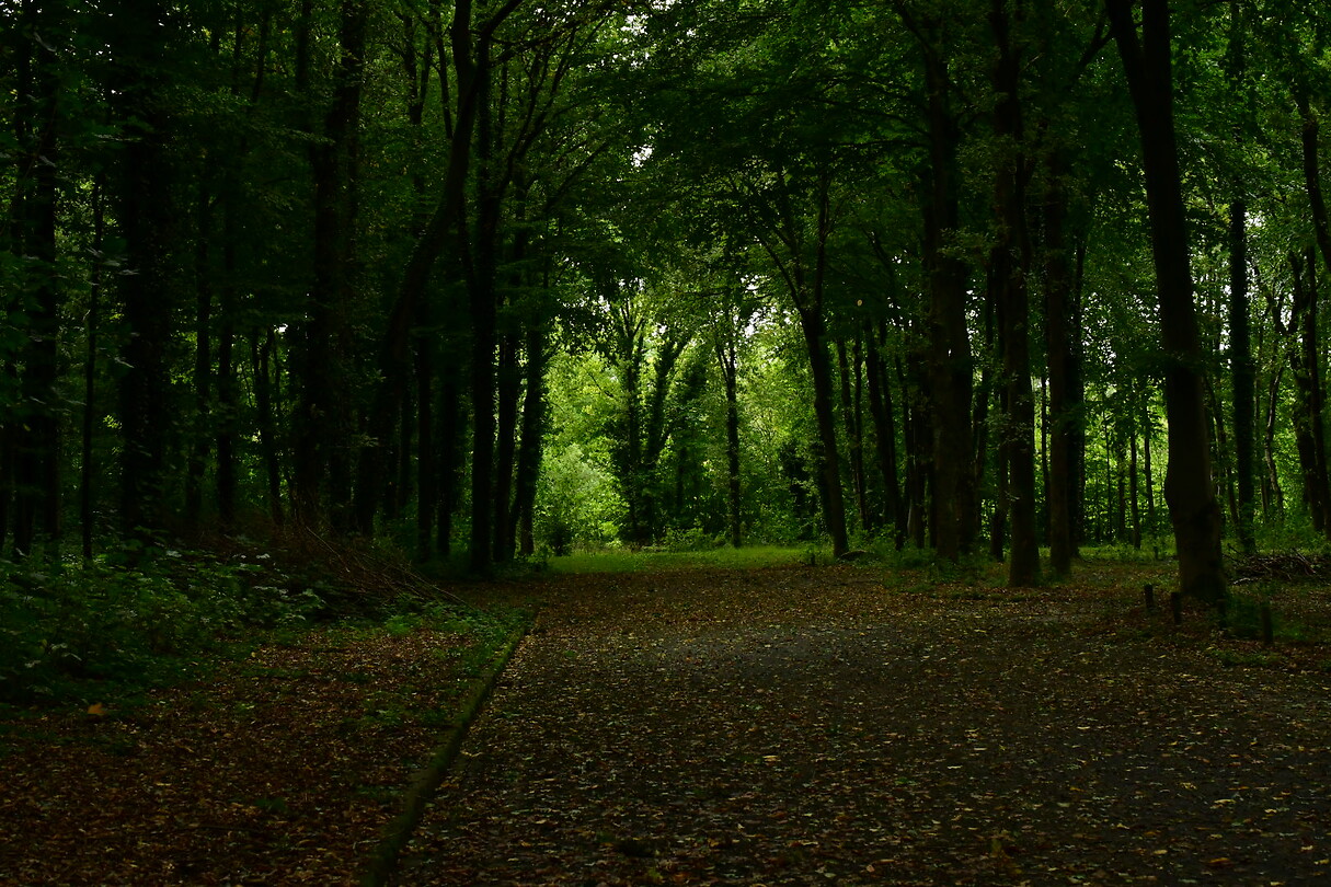 DSC_1128