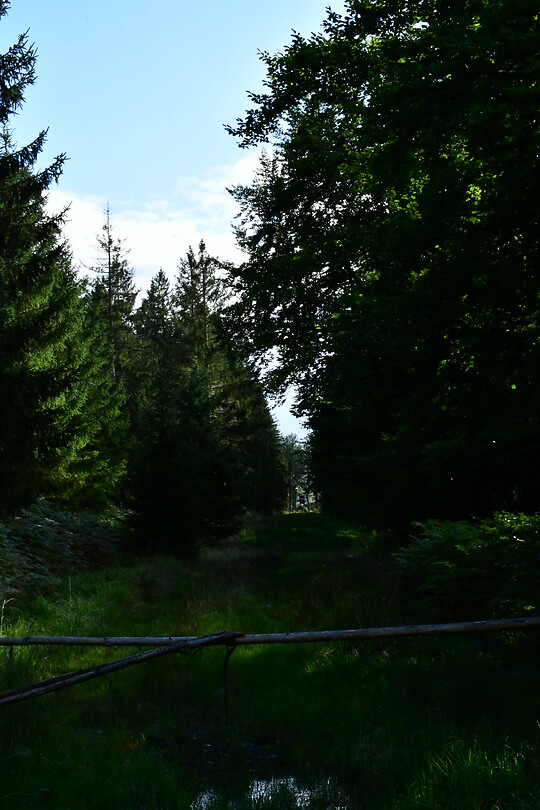 DSC_1134