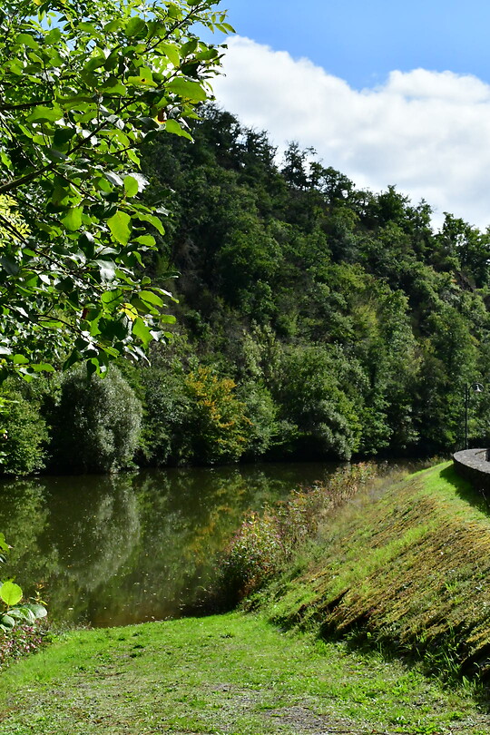 DSC_1171