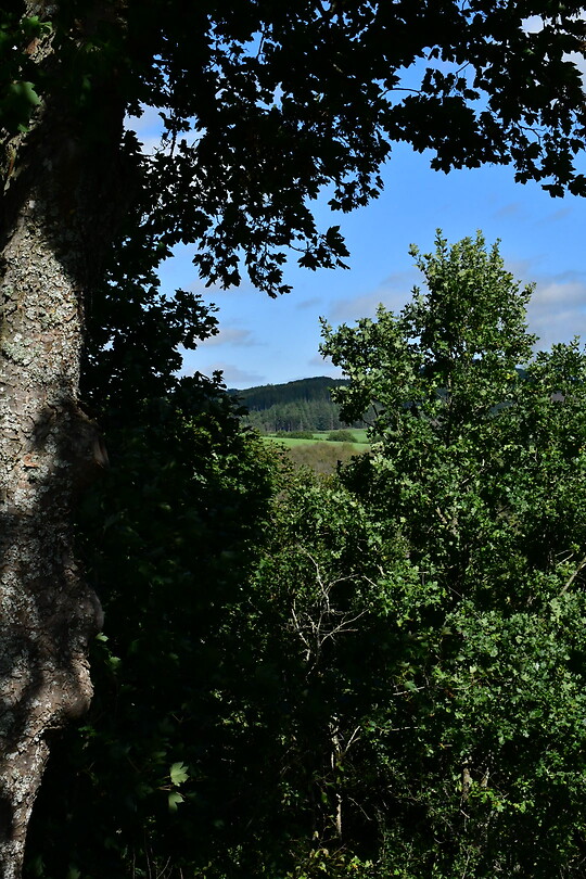 DSC_1162