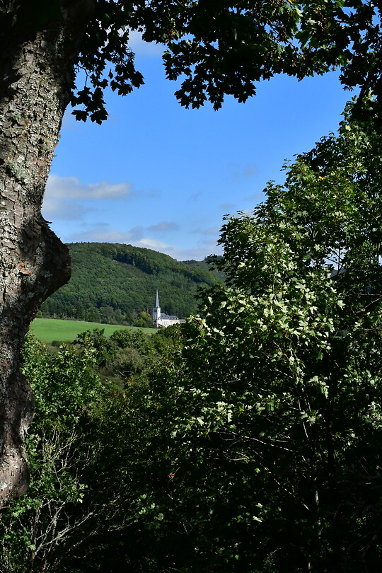 DSC_1163