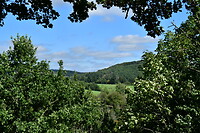 DSC_1160