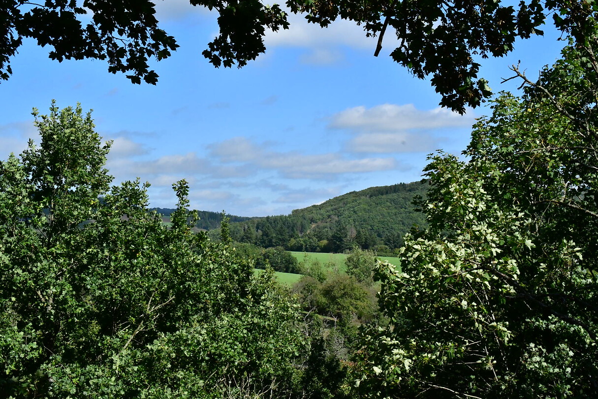 DSC_1160