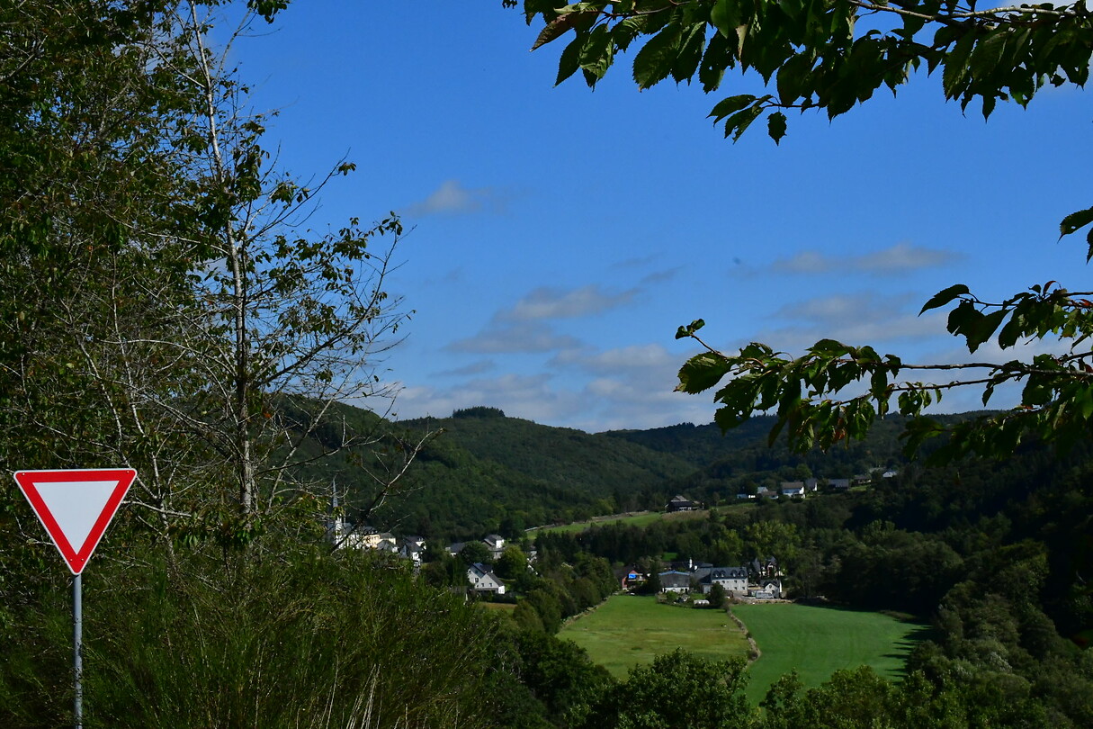 DSC_1156