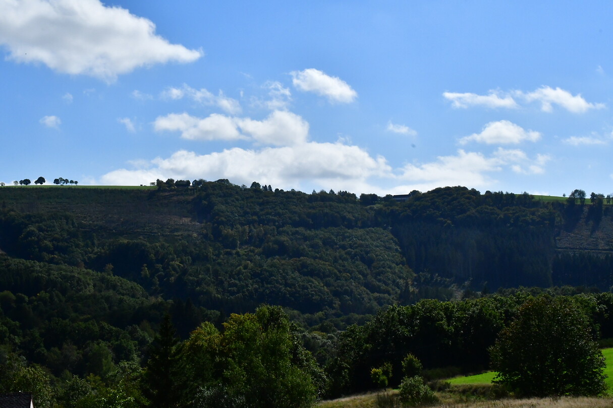 DSC_1155