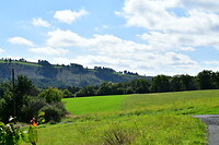 DSC_1154