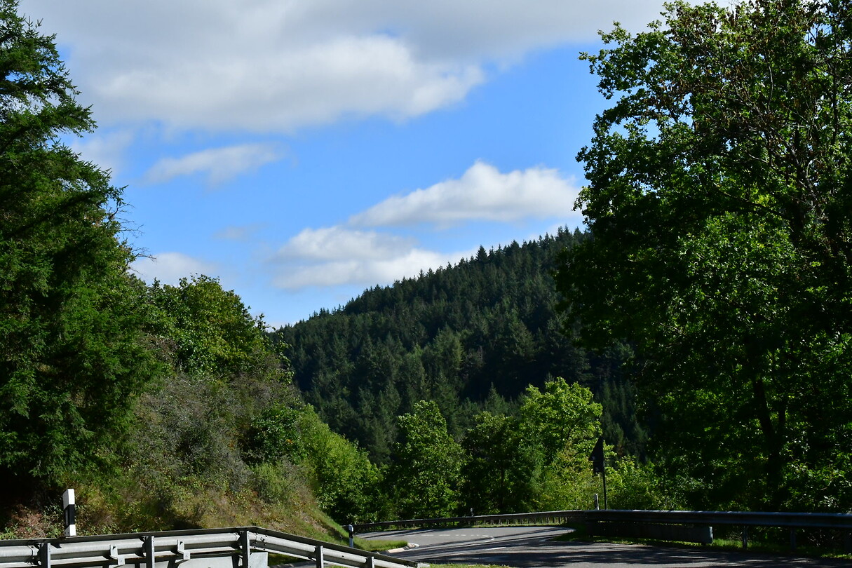 DSC_1150