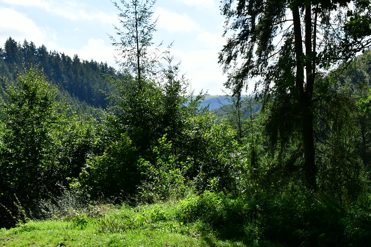 DSC_1144