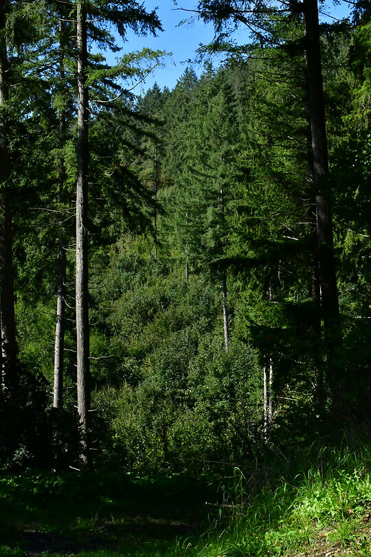 DSC_1140