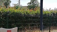 Mooie uitzicht vanaf terras