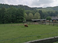 IMG_20230522_160636