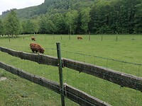 IMG_20230522_160631