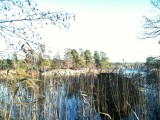 hellasgarden1
