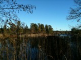 hellasgarden2