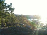 hellasgarden5