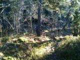 hellasgarden7