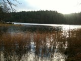 solvik view from my cabin