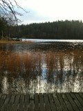 solvik view 2