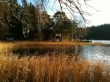 solvik1