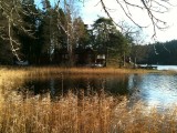 solvik2