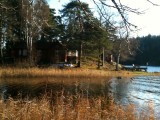 solvik10
