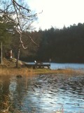solvik12