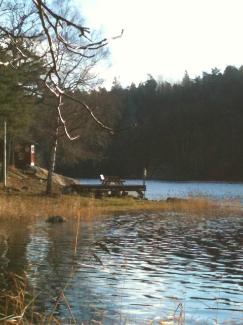 solvik12