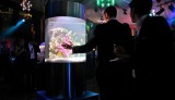 aquarium