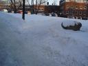 campus 18-12 (sneeuw + zonnetje)