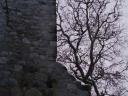 Sigtuna
