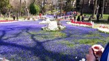 Maandag 13 april 2015 (14)